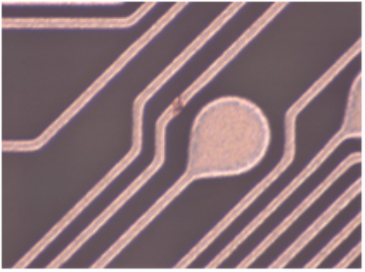 �ữ��ֹ��